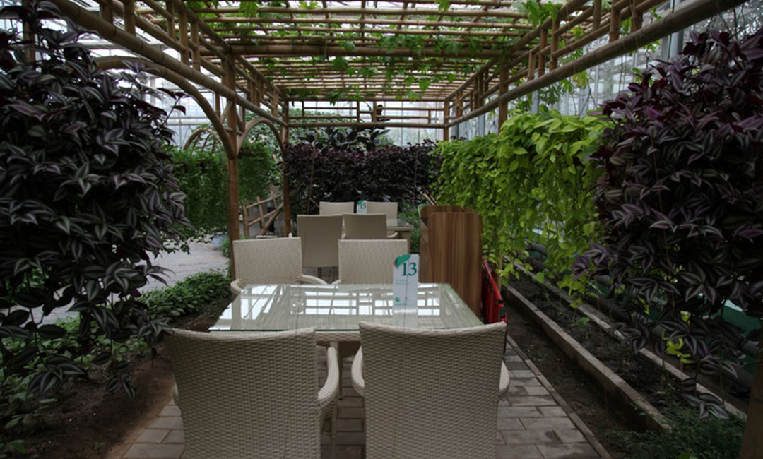 哈尔滨康柏宇品牌文案撰写案例